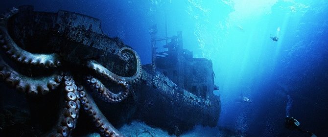 deep sea animal