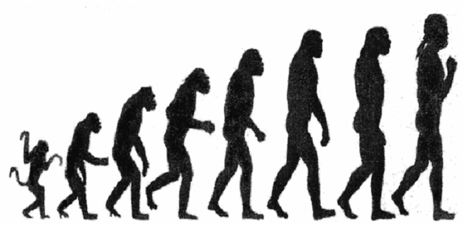 history of human evolution
