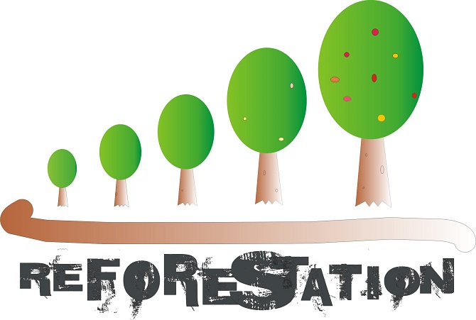 what is deforestation
