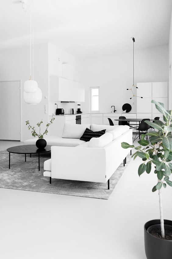 Monochrome Home Design Interiors