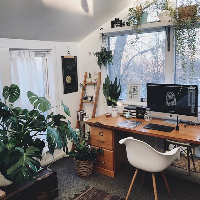 Tropical Study Room